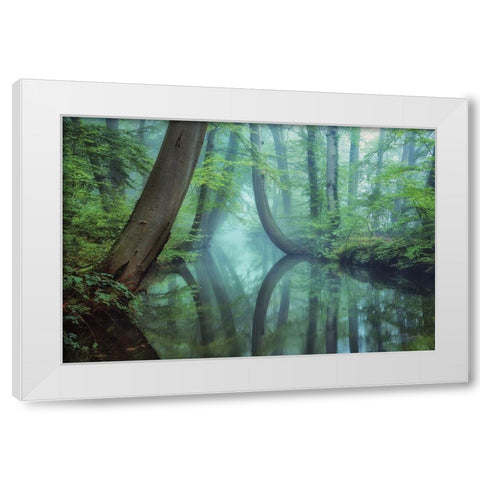 Moody Reflections White Modern Wood Framed Art Print by Podt, Martin