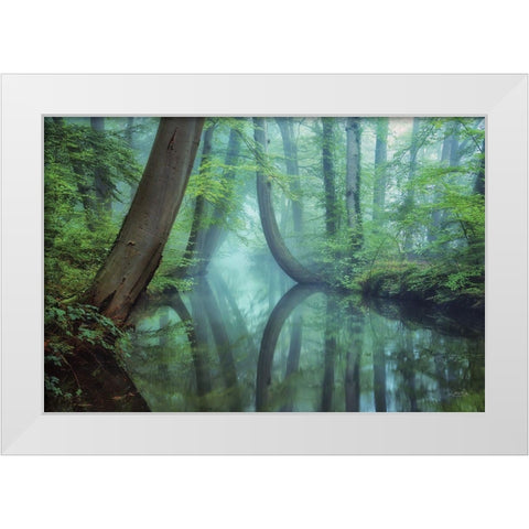 Moody Reflections White Modern Wood Framed Art Print by Podt, Martin