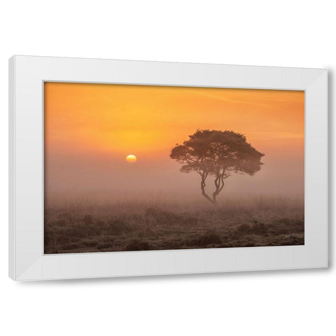 Enjoy the Silence I White Modern Wood Framed Art Print by Podt, Martin