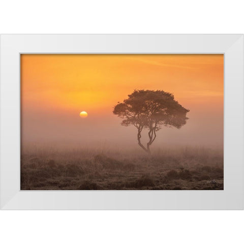 Enjoy the Silence I White Modern Wood Framed Art Print by Podt, Martin