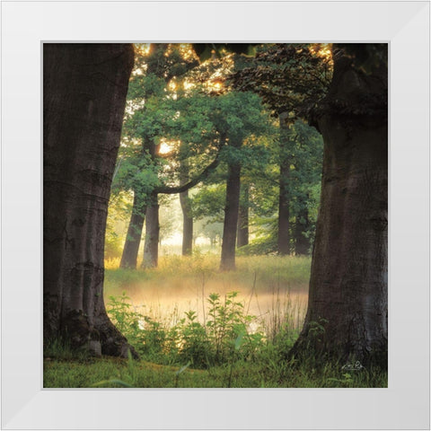 Tree Frame White Modern Wood Framed Art Print by Podt, Martin