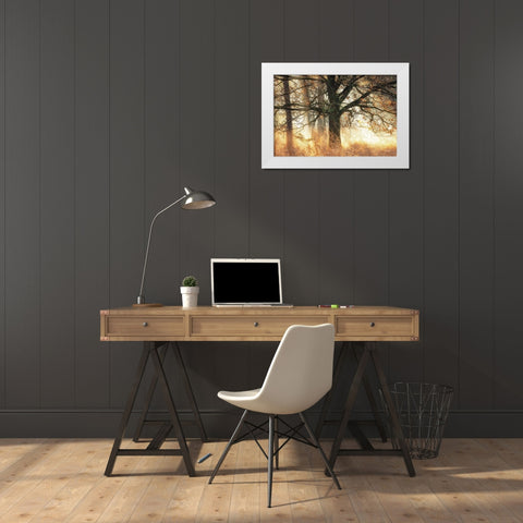 Backlight White Modern Wood Framed Art Print by Podt, Martin