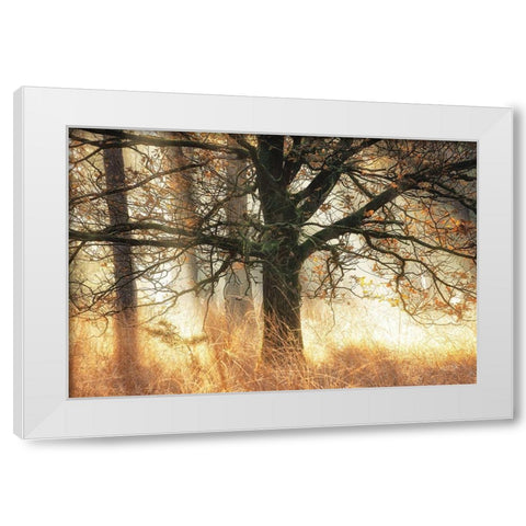 Backlight White Modern Wood Framed Art Print by Podt, Martin