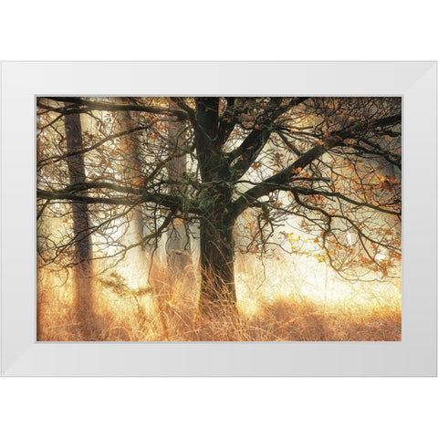 Backlight White Modern Wood Framed Art Print by Podt, Martin