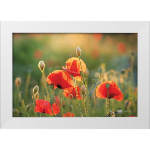 Poppy Field III White Modern Wood Framed Art Print by Podt, Martin