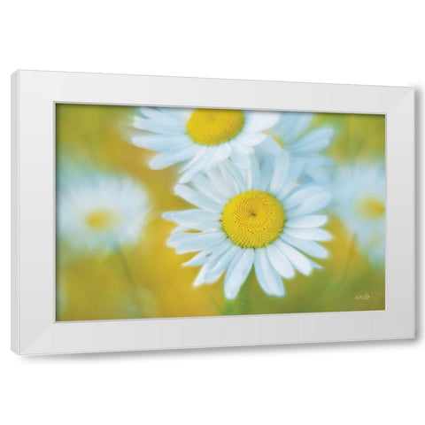 Daisies White Modern Wood Framed Art Print by Podt, Martin