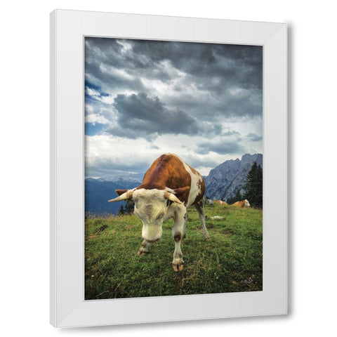 Bowing Cow White Modern Wood Framed Art Print by Podt, Martin
