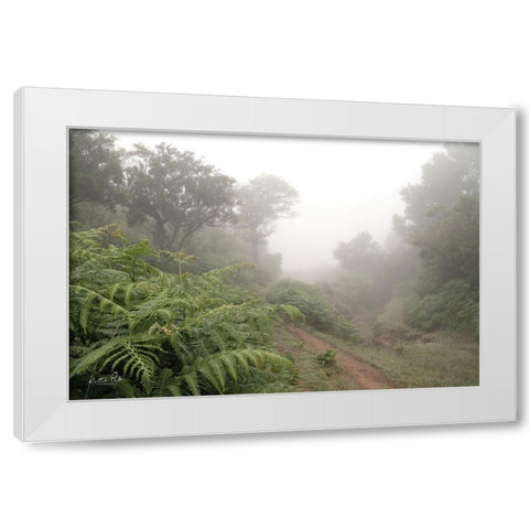 Fern Path White Modern Wood Framed Art Print by Podt, Martin