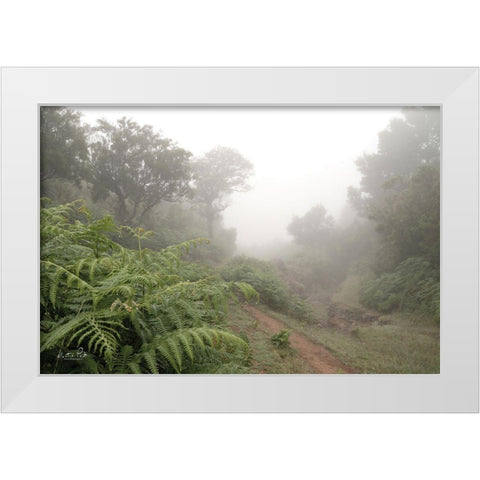 Fern Path White Modern Wood Framed Art Print by Podt, Martin