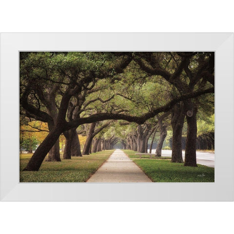 Alley of Live Oaks White Modern Wood Framed Art Print by Podt, Martin