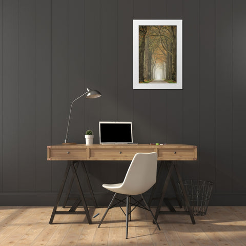 Beech Lined Road    White Modern Wood Framed Art Print by Podt, Martin
