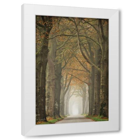 Beech Lined Road    White Modern Wood Framed Art Print by Podt, Martin