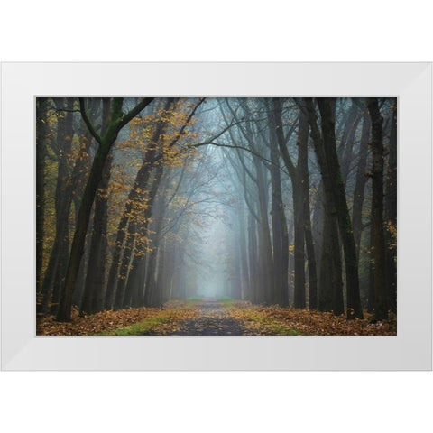 Moody Autumn   White Modern Wood Framed Art Print by Podt, Martin