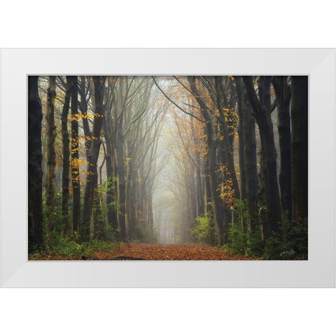 The Unknown Road    White Modern Wood Framed Art Print by Podt, Martin
