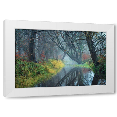 The Creek    White Modern Wood Framed Art Print by Podt, Martin