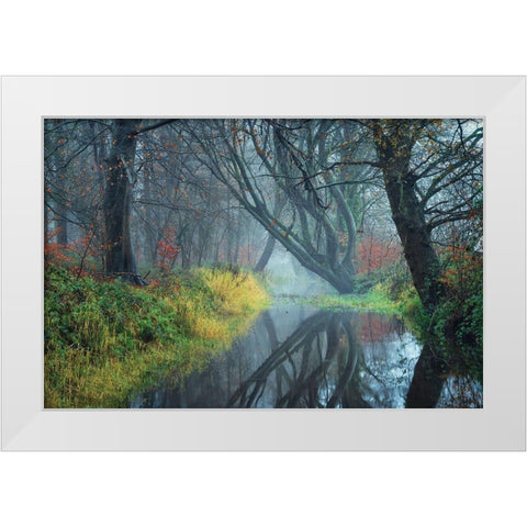 The Creek    White Modern Wood Framed Art Print by Podt, Martin