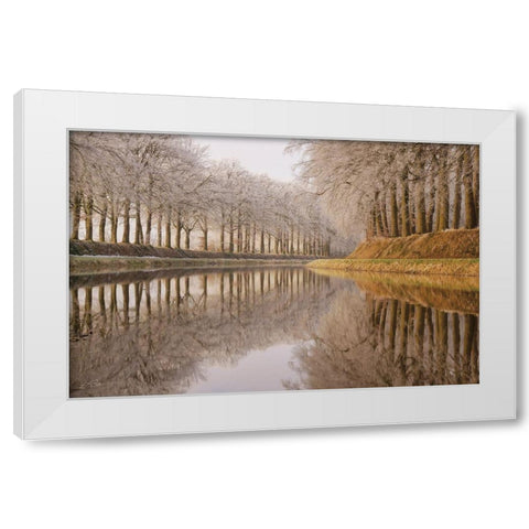 Frosty Reflections White Modern Wood Framed Art Print by Podt, Martin