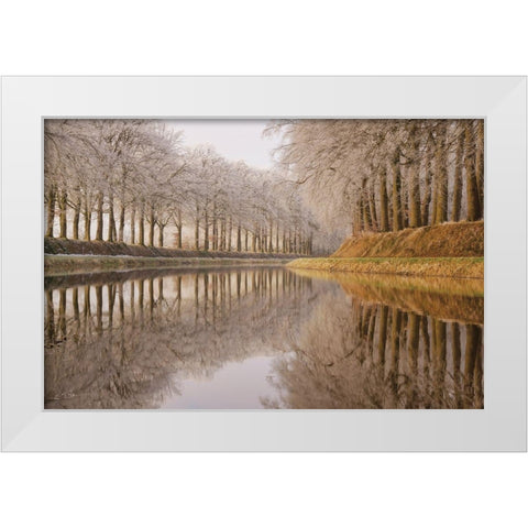 Frosty Reflections White Modern Wood Framed Art Print by Podt, Martin