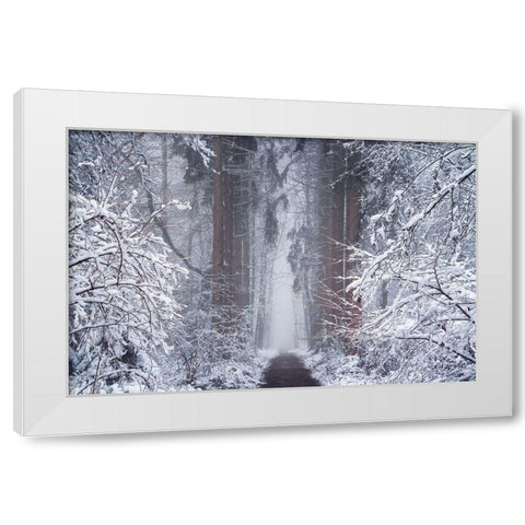 White Vignette  White Modern Wood Framed Art Print by Podt, Martin