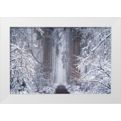 White Vignette  White Modern Wood Framed Art Print by Podt, Martin