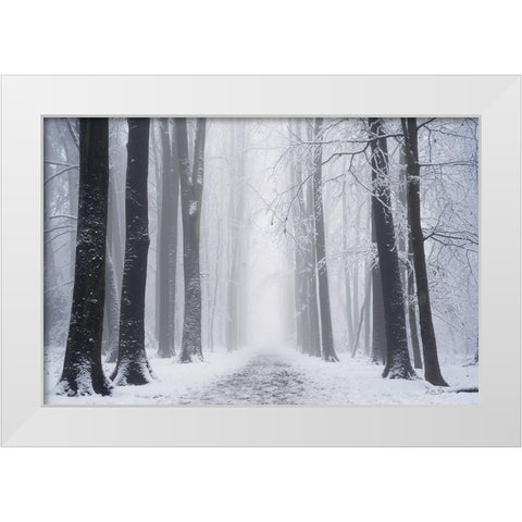 Whiteout  White Modern Wood Framed Art Print by Podt, Martin