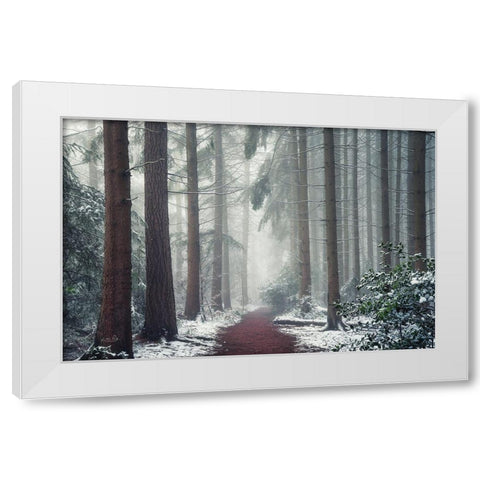 Red Carpet White Modern Wood Framed Art Print by Podt, Martin