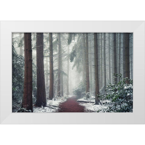 Red Carpet White Modern Wood Framed Art Print by Podt, Martin