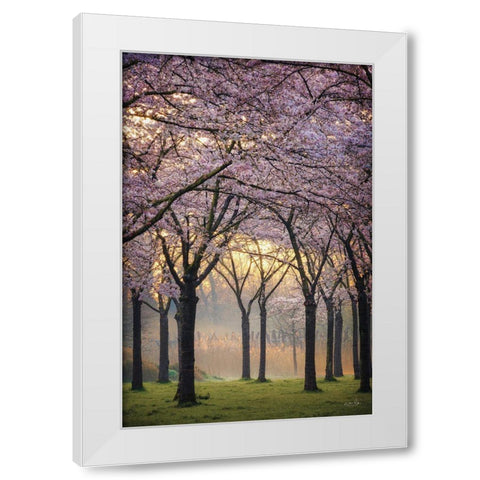 Cherry Trees at Sunrise White Modern Wood Framed Art Print by Podt, Martin