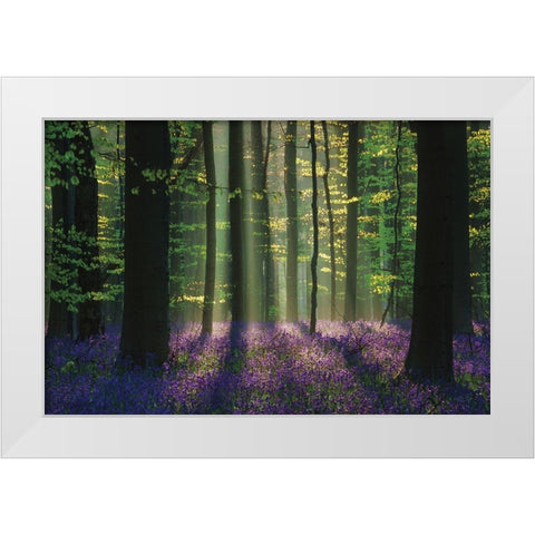 Perfect Spring Scene White Modern Wood Framed Art Print by Podt, Martin