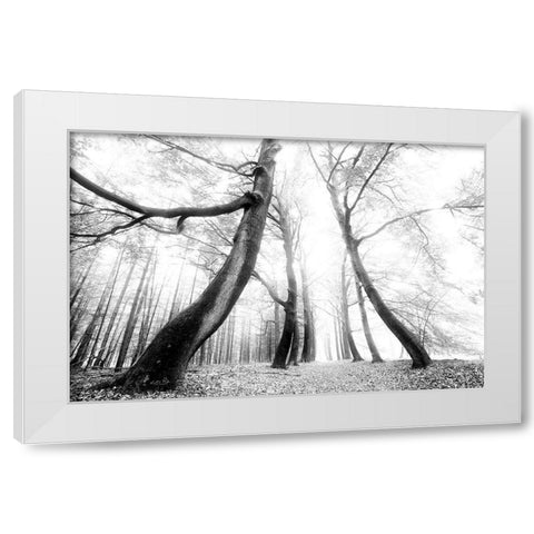 The Gatekeeper   White Modern Wood Framed Art Print by Podt, Martin