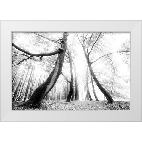 The Gatekeeper   White Modern Wood Framed Art Print by Podt, Martin