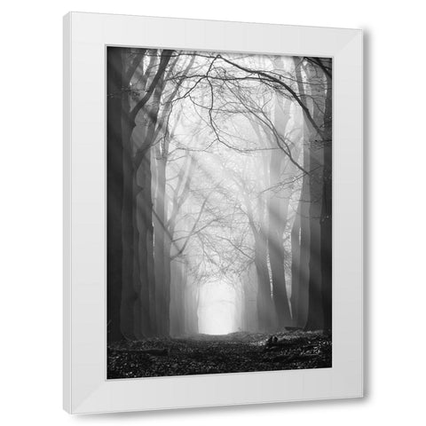 Sunray Path   White Modern Wood Framed Art Print by Podt, Martin
