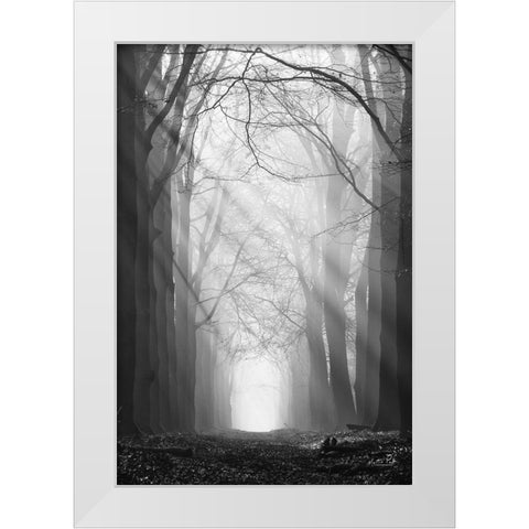 Sunray Path   White Modern Wood Framed Art Print by Podt, Martin