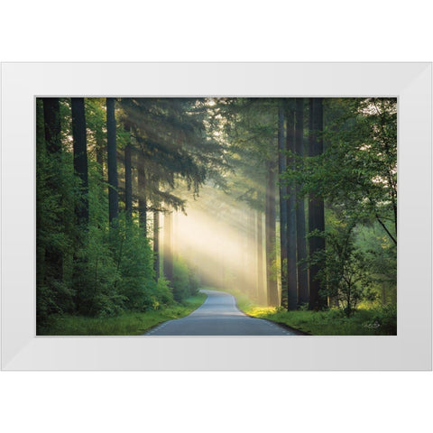 The Road White Modern Wood Framed Art Print by Podt, Martin