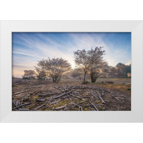Spring Bushes at Sunrise White Modern Wood Framed Art Print by Podt, Martin