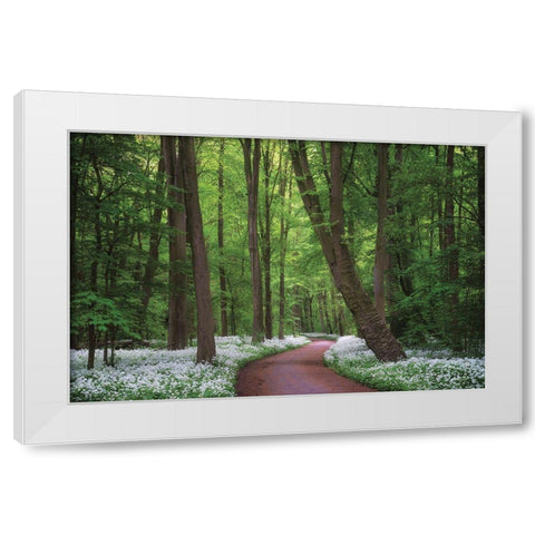 Fragrant Road White Modern Wood Framed Art Print by Podt, Martin