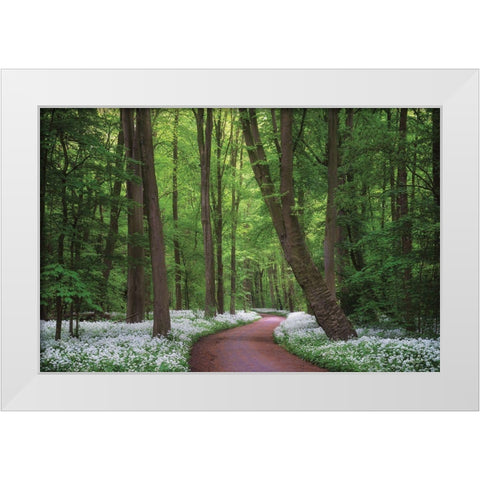 Fragrant Road White Modern Wood Framed Art Print by Podt, Martin