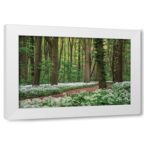 White Carpet White Modern Wood Framed Art Print by Podt, Martin