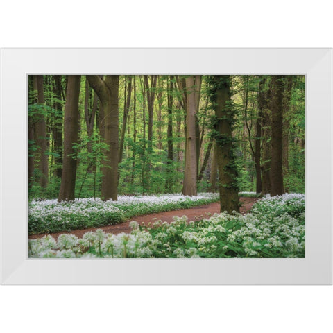 White Carpet White Modern Wood Framed Art Print by Podt, Martin