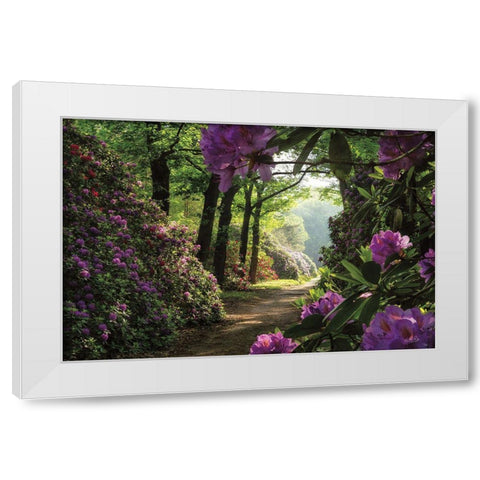 Rhododendron Lane White Modern Wood Framed Art Print by Podt, Martin