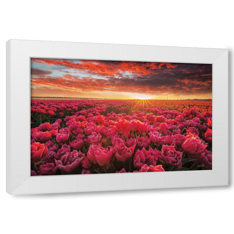 Tulip Magnificence White Modern Wood Framed Art Print by Podt, Martin
