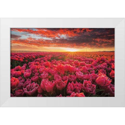 Tulip Magnificence White Modern Wood Framed Art Print by Podt, Martin