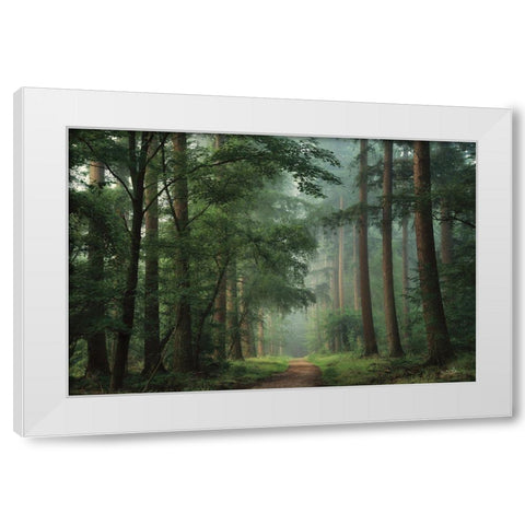Moody Green White Modern Wood Framed Art Print by Podt, Martin