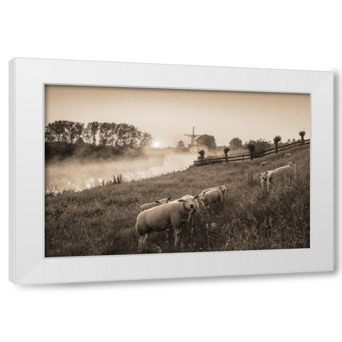 Grazing Sheep    White Modern Wood Framed Art Print by Podt, Martin