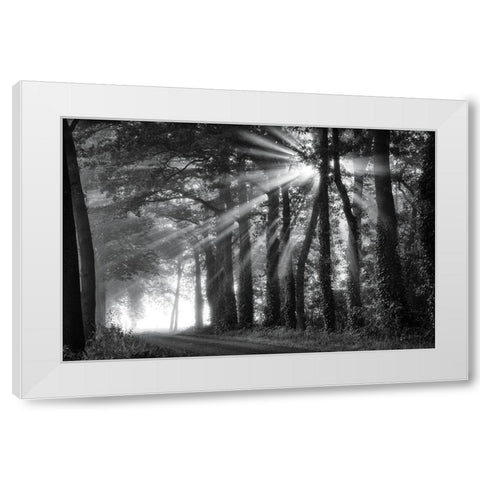 Amazing Rays White Modern Wood Framed Art Print by Podt, Martin