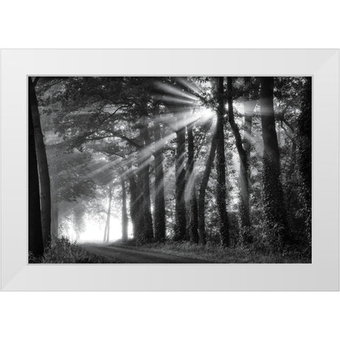Amazing Rays White Modern Wood Framed Art Print by Podt, Martin