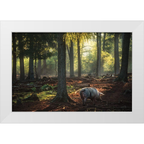 Morning Stroll  White Modern Wood Framed Art Print by Podt, Martin