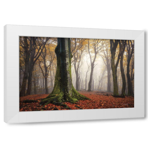 Autumn in the Forest  White Modern Wood Framed Art Print by Podt, Martin