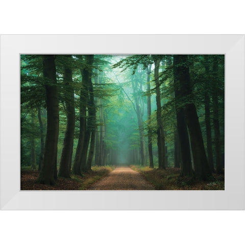 Road of Mysteries White Modern Wood Framed Art Print by Podt, Martin