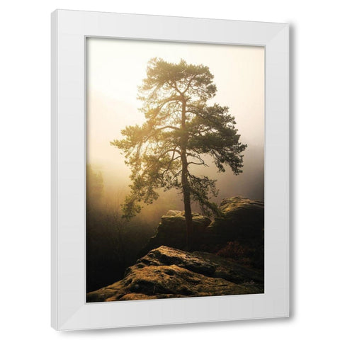 On the Edge of Glory White Modern Wood Framed Art Print by Podt, Martin